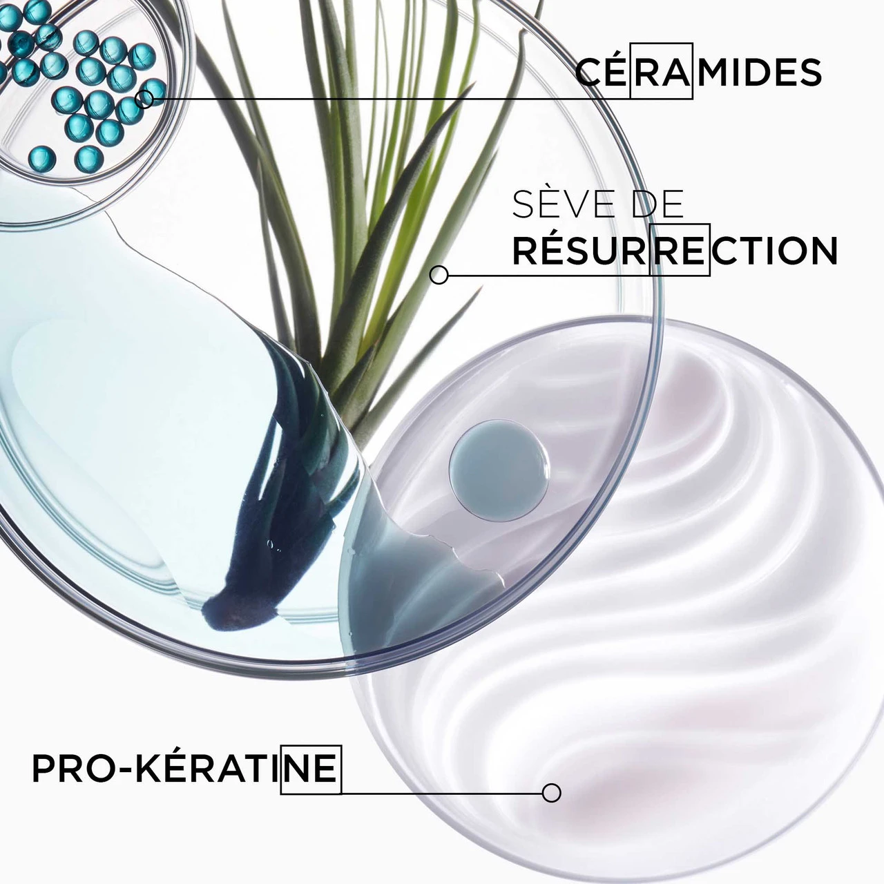 Bain Force Architecte Kérastase 250ml Bain Force Architecte Kérastase 250ml -Magasin De Produits Capillaires 3474636397945 6 57284.1686218006