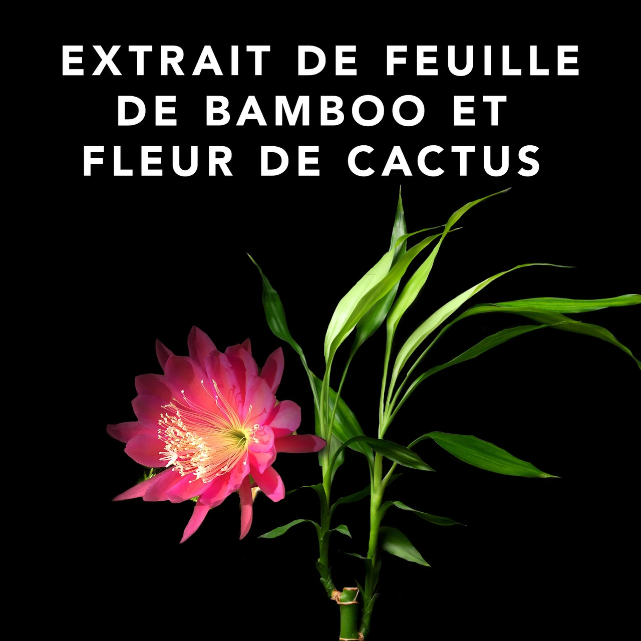 Volupt Spray Sebastian 150ml Volupt Spray Sebastian 150ml -Magasin De Produits Capillaires 52361 4 35228.1688735230